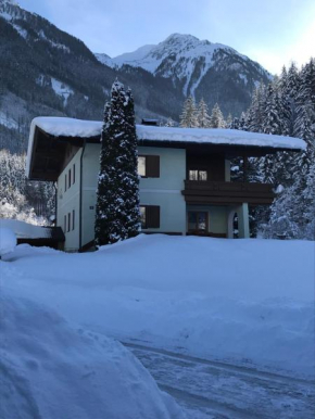 Haus Erika, Wald Im Pinzgau, Österreich